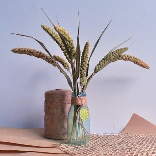 Natural Dried Pampas Grass Phragmites Communis Reed Plume Wedding Flower Bunch Modern Home Decoration Chambre