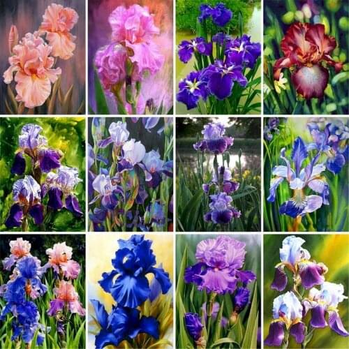 GATYZTORY 60x75cm DIY Frame DIY Painting By Numbers Flower Wall Art Picture Hand Painted Oil Painting For Home Decor Artworks