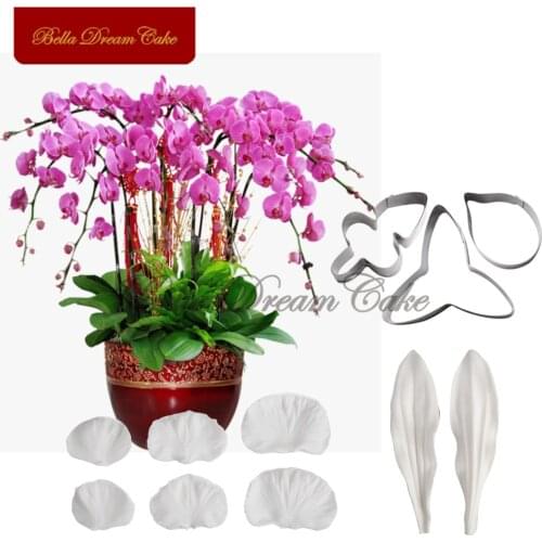 Orchid Phalaenopsis Flower Petal Veiner Silicone Molds Stainless Steel Cutter Mold Set Fondant Cake Decorating Tool