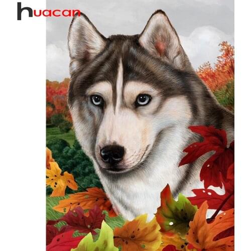 Huacan Diamond Painting Dog Flower Full Square/round Diamond Embroidery Husky Animal Mosaic Decor Home Diamond Art