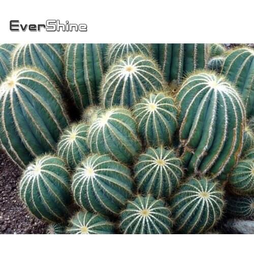 EverShine 5D Diamond Painting Full Square Cactus Diamond Mosaic Scenery Diamond Embroidery Cross Stitch Kits Beads Picture Art