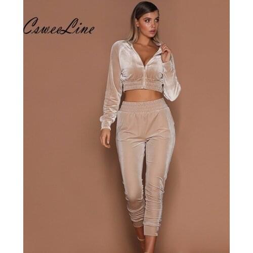 Velvet Two Piece Set Crop Top Tracksuits Autumn Winter Women Casual Tracksuit Set Long Sleeve Woman Velour Tracksuit 2018