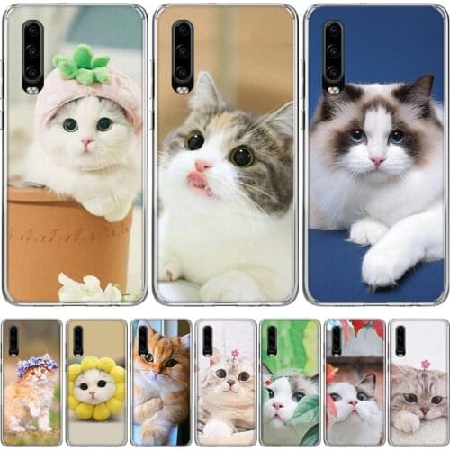 Cute pet cats Phone Case for Huawei P30 P40 P20 P10 Mate 20 10 30 Lite Pro P Smart Z Plus + Art Luxury Cover Coque