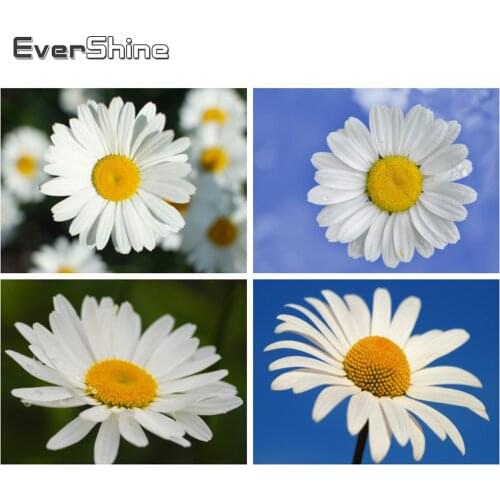 EverShine Diamond Painting Daisy Cross Stitch New Arrivals Flowers Picture Rhinestones Diamond Art Mosaic Handmade Home Decor