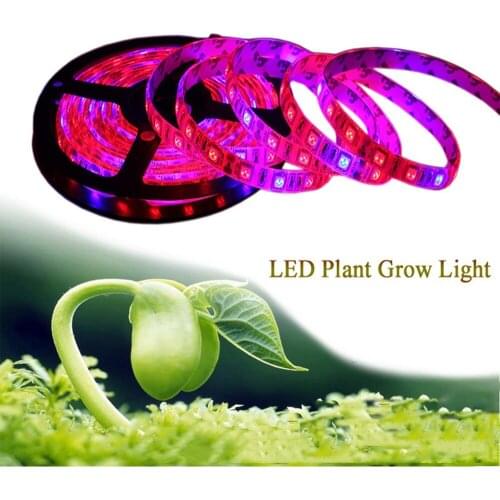 SMD5050 LED Plant Grow Light 5M Waterproof Full Spectrum LED Strip Flower Phyto Lamp Tape Red Blue 5:1/4:1/3:1 for Hydroponic