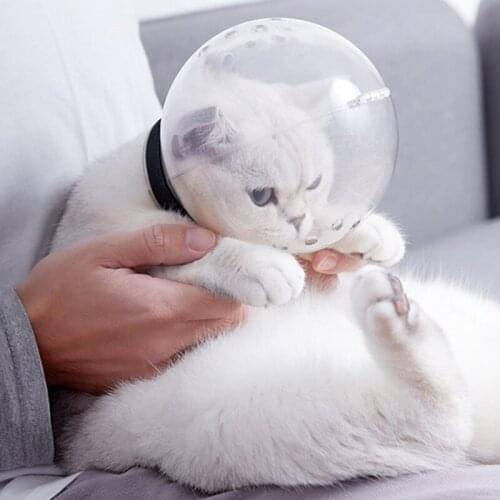 N2HAO Carrying Bags For Cats