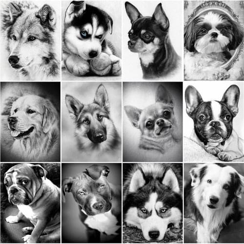 EverShine Diamond Painting Dog Full Square Diamond Mosaic Animal Rhinestones Embroidery Black And White Cross Stitch Handicraft