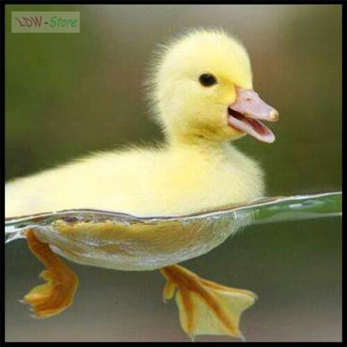 5D DIY Full square Diamond Painting Swimming yellow duck Mosaic decor Diamond Rhinestone Embroidery Cross Stitch decor WG589