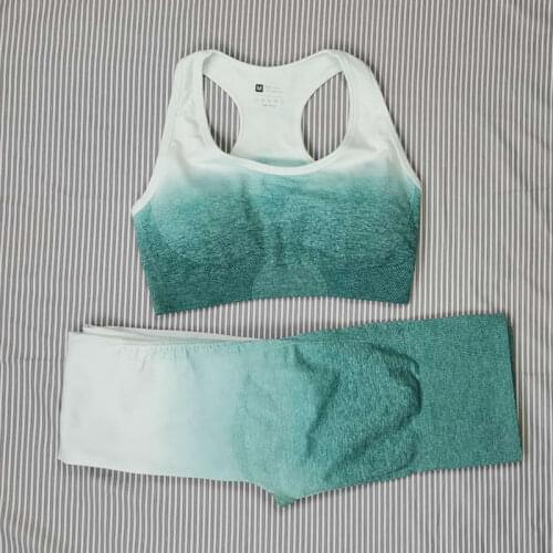 Yoga Sets Women Seamless Fitness Leggings+Sports Bra 2 Piece Running Sport Wear High Waist Gym Clothing Push-Up Outfit