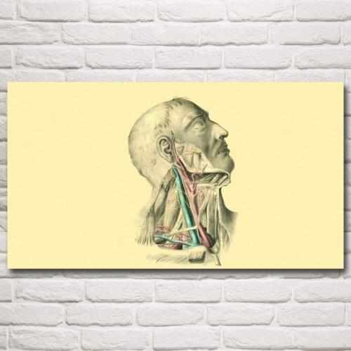 FOOCAME Anatomy Arteries Muscles Medicine Art Silk Posters and Prints Wall Pictures Living Room Decoration Pictures