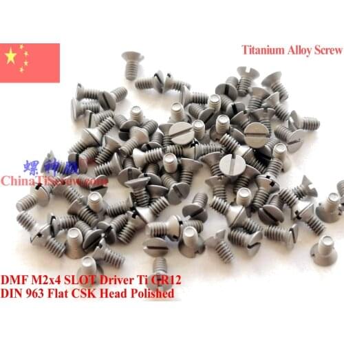 Titanium Alloy screw M2x4 M2x5 M2x6 DIN 963 Flat Head 12pcs Ti GR12
