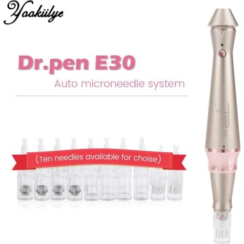 Electric Derma Pen E30 Microneedling Dr Pen Needle Cartridge Electric Derma Rolling Stamp with 12pcs Bayonet Needles Skin Care
