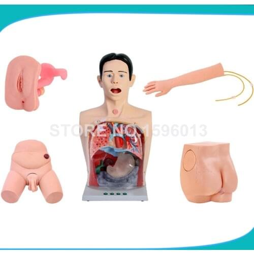 Basic Nursing Manikin,Transparent Gastric Lavage Simulator,Nasal feeding and urethral catheterization nursing
