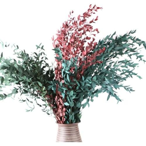 Natural Preserved Eucalyptus Branches Bouquet,Eternal Dried Flower Leaves Decoration for Wedding Home Decor DIY Accessories