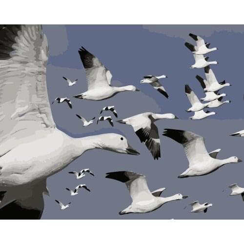 MaHuaf-j424 wild geese Set for drawing by numbers art animal pictures for living room home decor