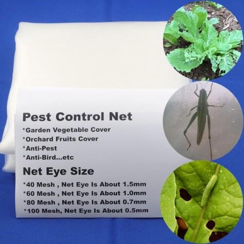 Tewango Pet Supplies