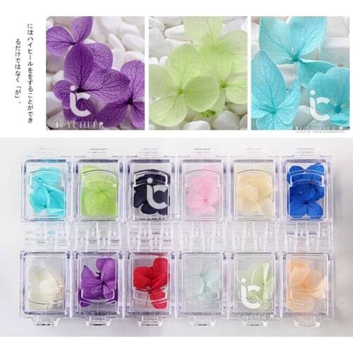 ICYCHEER 12 Colors Real Natural Petal Dry Dried Flower UV Gel Nail Art Sticker Polish Decoration Decals DIY Manicure Tool