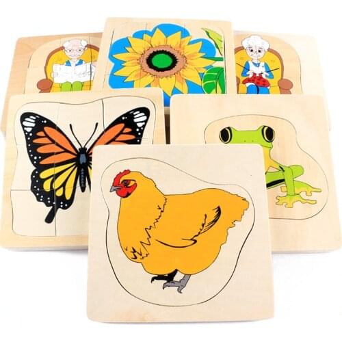 Montessori Science Biology Growth Process Teaching Aids Kindergarten Early Education Toy Multi-layer Jigsaw Puzzle Kids Toys