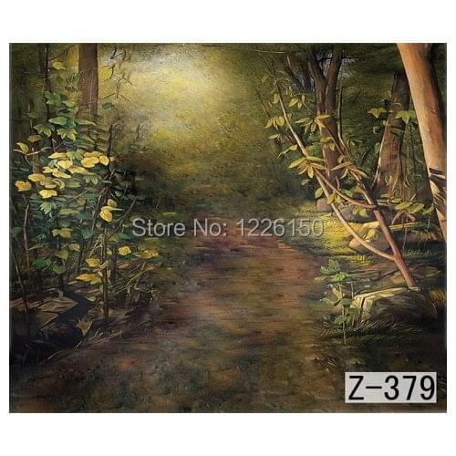Preofessional 10*10ft Hand Painted muslin backdrops z-379,Mysterious scenic photo Background , photography studio background