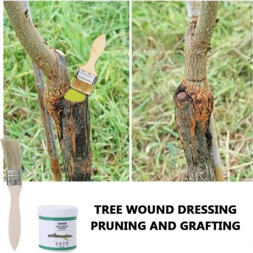 Garden Bonsai Plant Healing Paste Tree Wound Pruning Sealer Dressing for Plants Grafting Treatment