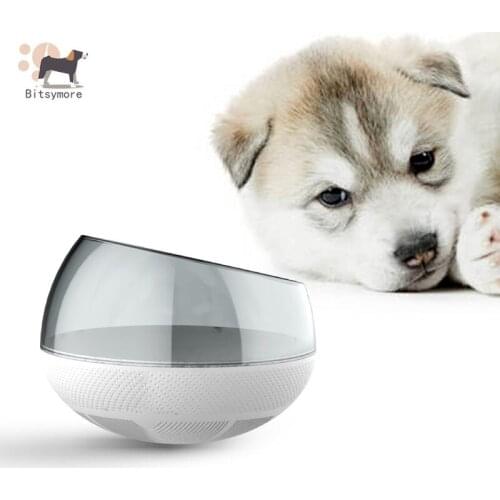 Pet Supplies Bite-Resistant Dog Slow Food Bowl Anti-Choking Pet Bowl Tumbler Slow Food Dog Bowl