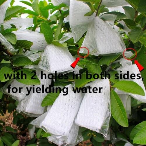 Guava Protection Cover Growing Bag Anti-Bird Insect Net Bag Pest Exclusion Fruit Protection Insect Bags