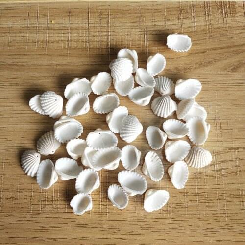 100Pcs Scallop hole Shell Natural Seashell from Sea Beach Large Shell With Holes for DIY Art Craft Decor Mixed Colorful