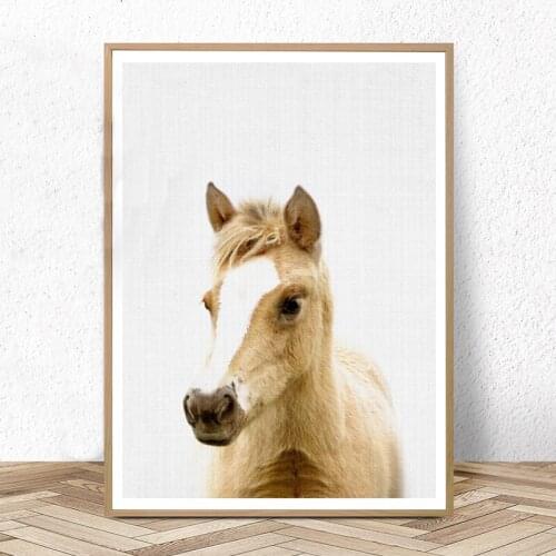 Nursery Foal Wall Art Farm Animal Print Baby Horse Poster Canvas Art Painting Posters and Prints Kids Babies Bedroom Decoration