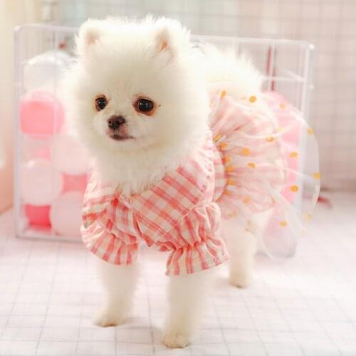 Pet Clothes Dog Clothes Teddy Bulldog Corgi Dog Dress Cute Princess Dress with Yarn skirt