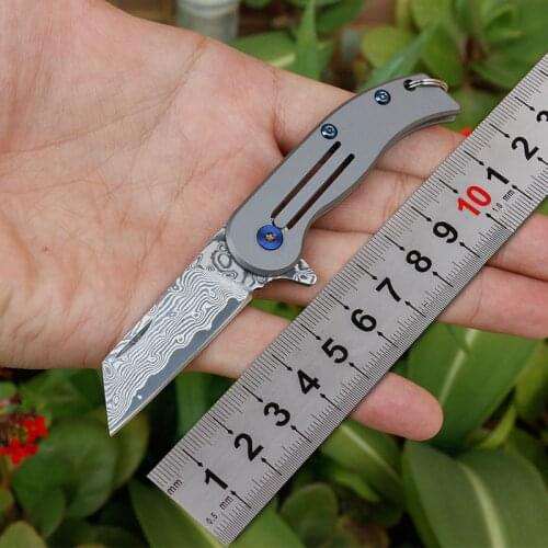Swayboo D2 / Damascus Steel Keychain Knife Outdoor Survival Portable Mini Folding Knife Titanium Handle Pocket Knife