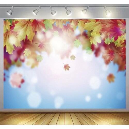 Autumn Backgrounds For Photography Fallen Leaves Maples Light Bokeh Sunshine Baby Newborn Portrait Scene Photo Backdrop