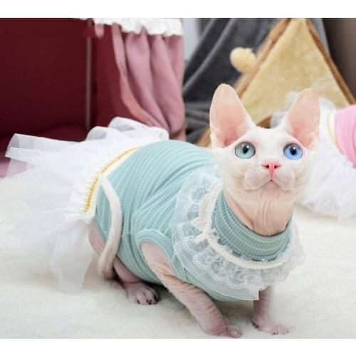 New Classic Sphynx Puppy Pet Cat Clothes For Cats Summer Blue Lace Princess Dress Pink Print Hairless Cat Clothes