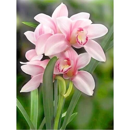 Orchid Flowers Diamond Painting Round Full Drill Floral Nouveaute DIY Mosaic Embroidery 5D Cross Stitch Home Fecor Gifts