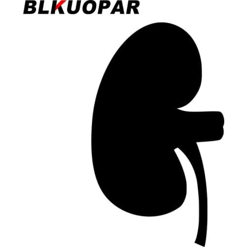 BLKUOPAR for Kidney Organ Anatomy Car Stickers Waterproof Scratch-Proof Decals Laptop Skateboard Decor Cartoon Graphics