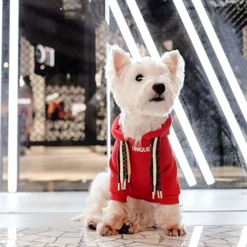 Dreadlocks Style Winter Warm Dog Clothes Pet Puppy Hoodie Coat French Bulldog Schnauzer Chihuahua Teddy Pug Jacket Dogs YHC09