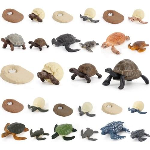 Simulation Ocean Animal Cycle Life Sea Turtle Growth Toy Figure Model Action Figures Collectible Educational Toys Children Gifts