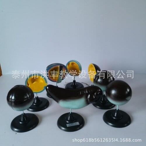 8pcs J33102 Frog Embryo Development Model Growth History