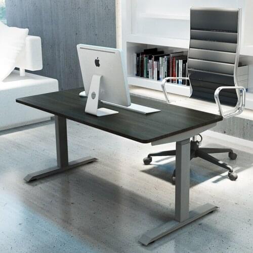 Modern Home Furniture Motorized Electric Desk Lifting Sit Stand Up Desk Dual Motor Unique Office Lift Desk