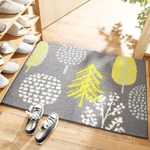 European floor mat with wear resistance and rub resistance for entering the house