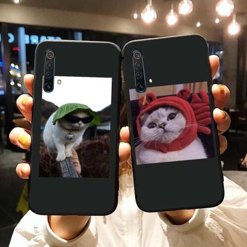 For Oppo Realme XT Case Realme X2 3 5 5i 6 7 X7 Q Pro Funny Cats Soft Silicon Phone Case on Realme C3 C2 C11 C12 C15 C17 Cover