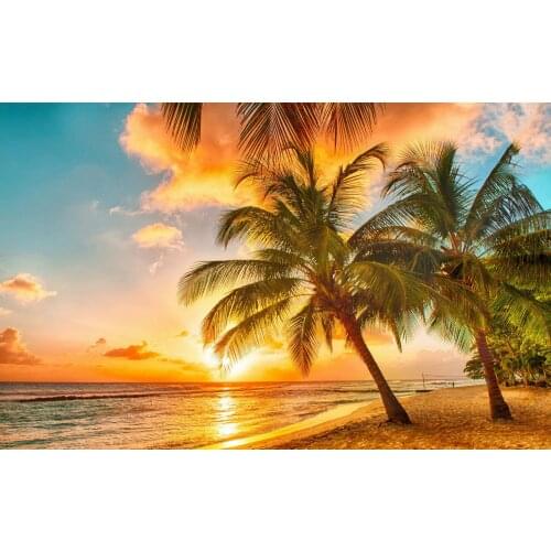 Tropical Scenic View of the Ocean & Beach Art print Silk poster Home Wall Decor