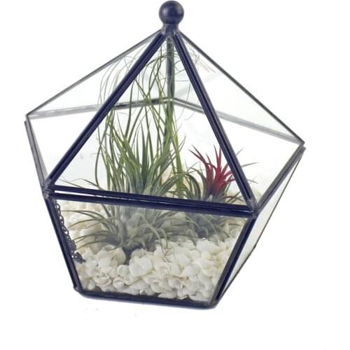European Style Simple Geometric Greenhouse Garden Ornament Christmas Polyhedral Brass Creative Cover Jar Glass Vase