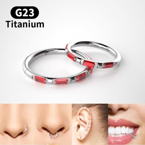 2Pcs G23titanium Puncture Accessories Wholesale Zircon Nose Ring In Europe and The Contracted Wind Earrings