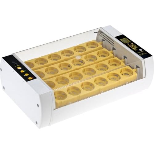 New Cheap Price China Digital Temperature Small Brooder 24 Mini Hatchery Egg Incubator Hatcher for Chicken Duck Pigeon Quail