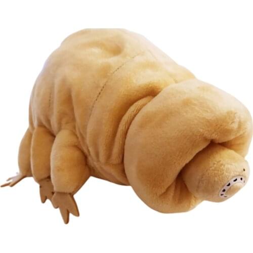18cm Cute Water Bear Stuffed Animals Plush Toy Soft Dolls Kawaii Tardigrade Plushie Educational Gift For Children Baby Kids Gift