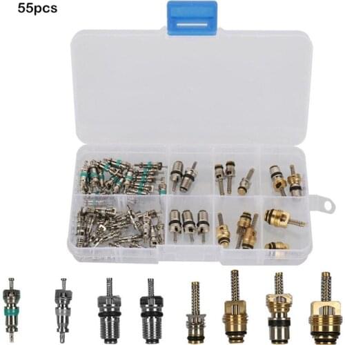 Automotive Air Conditioning Car A/C Core Valves Assortment Kit Set Handy Valve Core Removal Tubeless Core Kit valve 55PCS