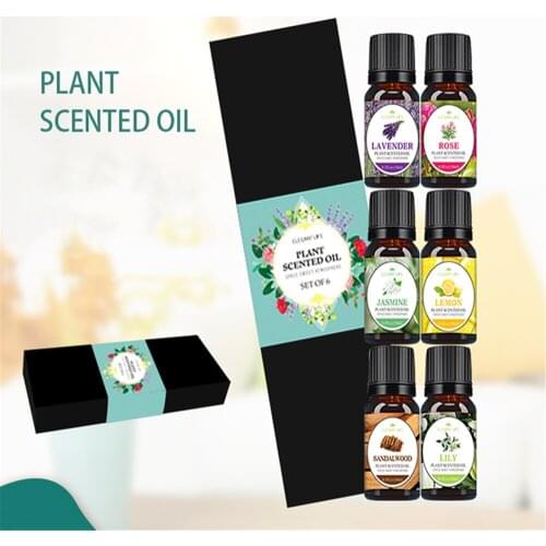 10ML* 6 Pcs/Set Plant Water-Soluble Fragrance Pure Essential Oils Gift Set Suitable For Humidifier Lavender Rose Jasmine Lemon