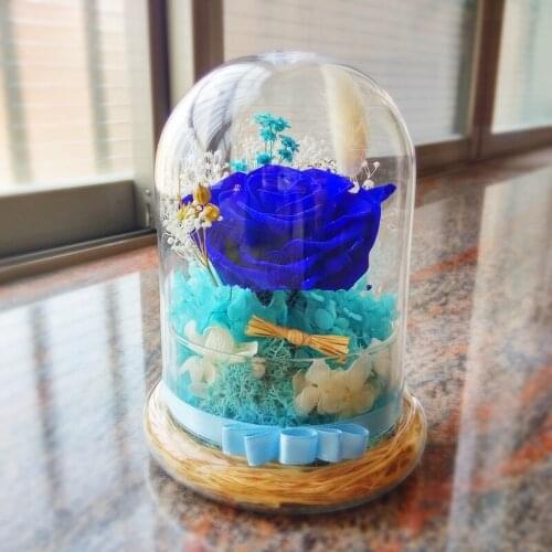 15*25cm Glass Base Glass Dome Vase Home Decoration Diameter=15cm Height=25cm Glass Cover Vase Friend Gift Wedding Decoration