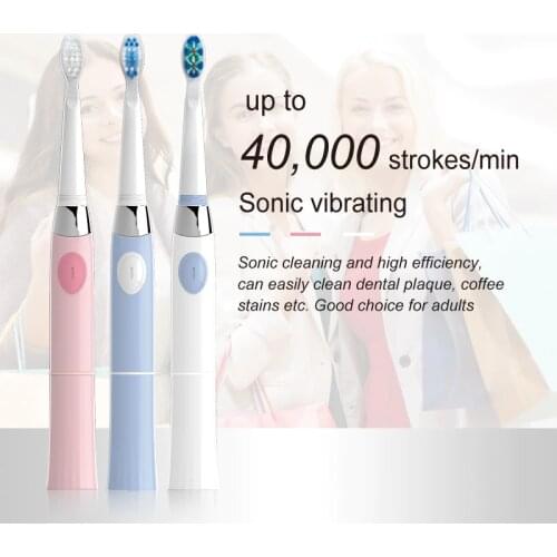 SEAGO Electric Toothbrush with 1 Replacement Brush Heads Battery Sonic Teeth Brush Deep Cleaning Included Soft-bristle SG503