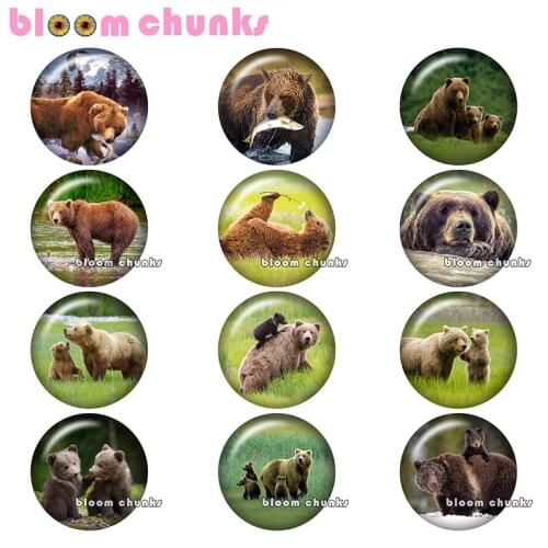 Bear Mom Baby Round photo glass cabochon demo flat back Making findings 12mm/18mm/20mm/25mm A9783